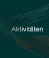 Aktivitäten